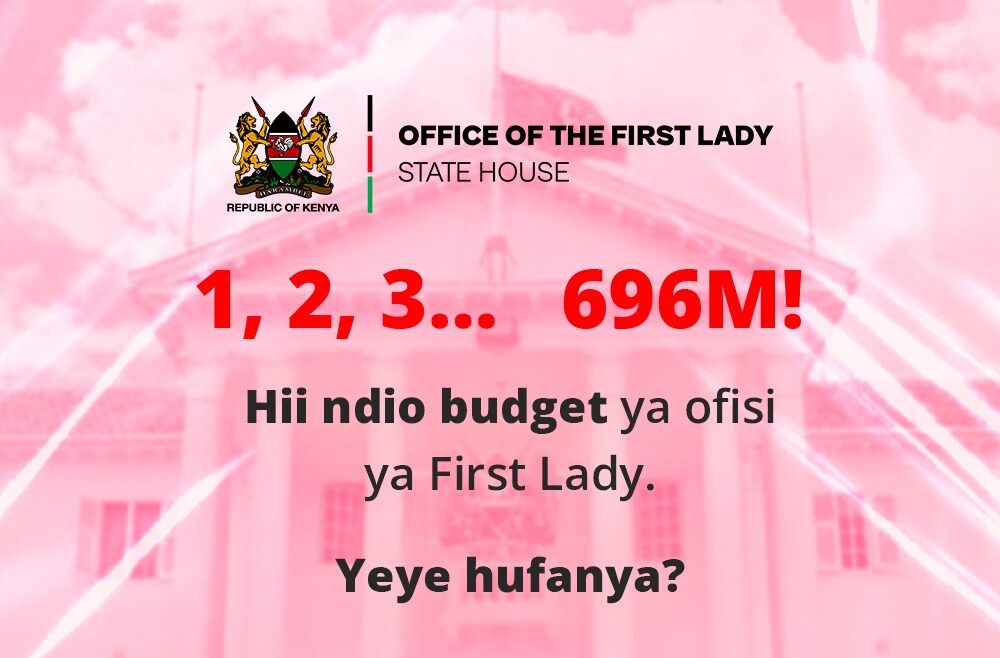 Poster from thellesi.org breaking down the budget for youths in Kenya to understand.